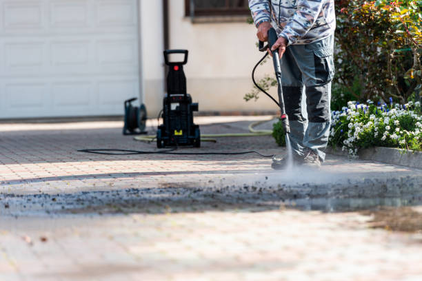 Best Local Pressure Washing Services  in Bagley, MN