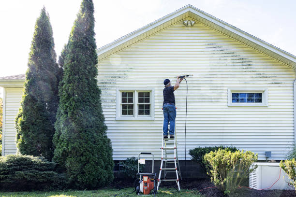 Best Affordable Power Washing  in Bagley, MN