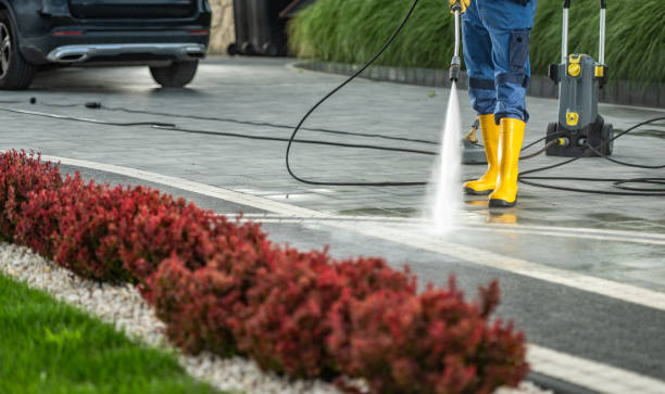 Best Commercial Building Pressure Washing  in Bagley, MN