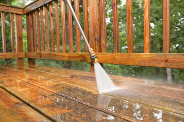Best Exterior Home Cleaning  in Bagley, MN